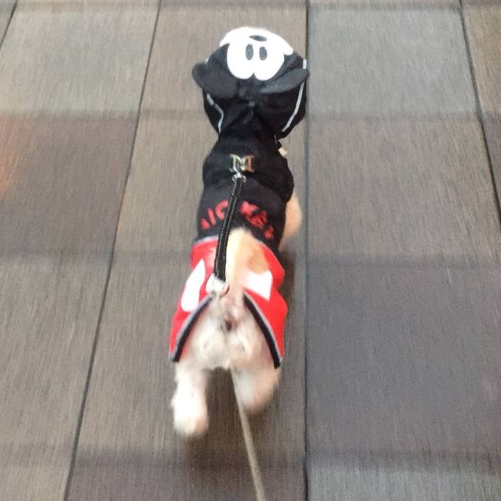 81f25c73 be91 4891 8c6d c6065991aa6c 1540293462665