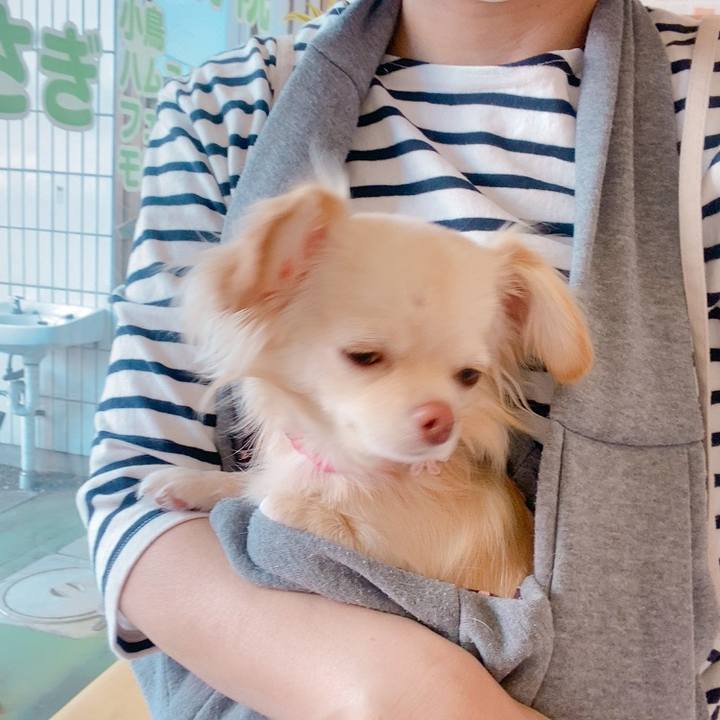 81f26b69 90ab 4906 8eee b37c1e37289b 1619162402461