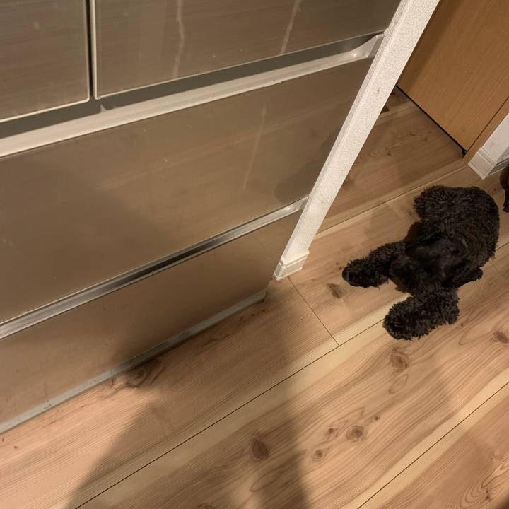 81f296ae 7050 4dd2 b123 5902ba1b3a92 1631696097899