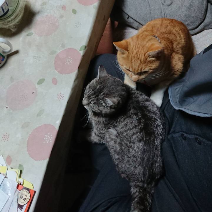 81f30739 e186 40f1 b0f3 6d6dff48abae 1575237330067