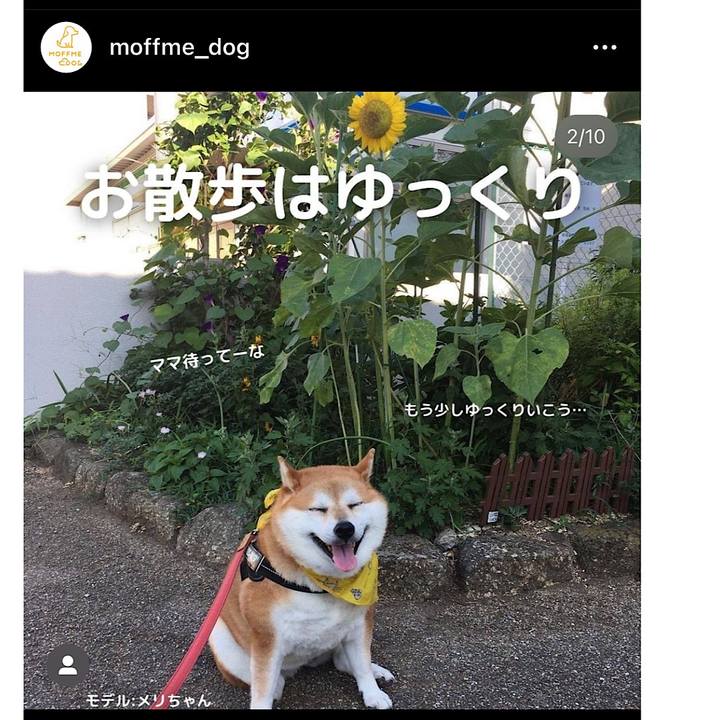 81f3a767 023d 4451 b42f 60f5417e49f7 1661251498965