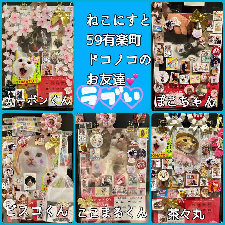 81f3c533 f37b 4e81 a0e0 75c162e4959c 1679129213799