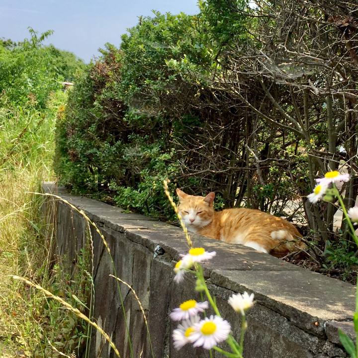 81f3d674 912a 40e5 af05 8746fba1f75f 1561175284803