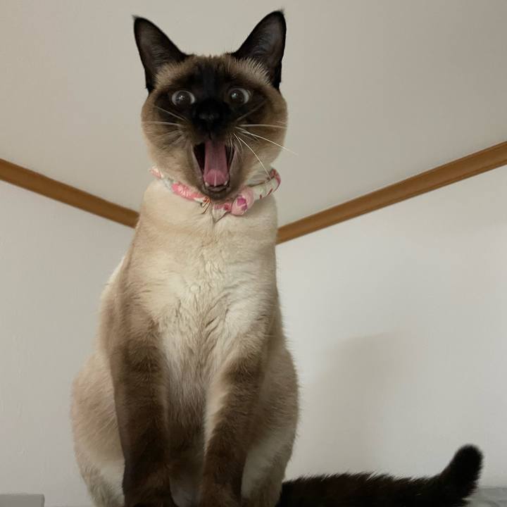 81f3f9d8 e0bf 499e 81e2 be976edbc249 1719430759304