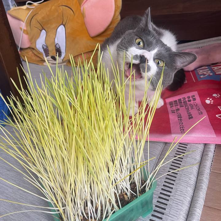 81f402f9 2317 4f10 9250 adf8374c34ad 1756002432059