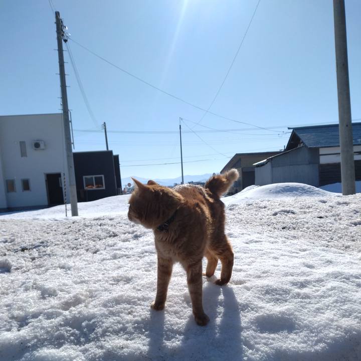 81f43c25 0327 433f b9a6 3510712fca6b 1674105198687