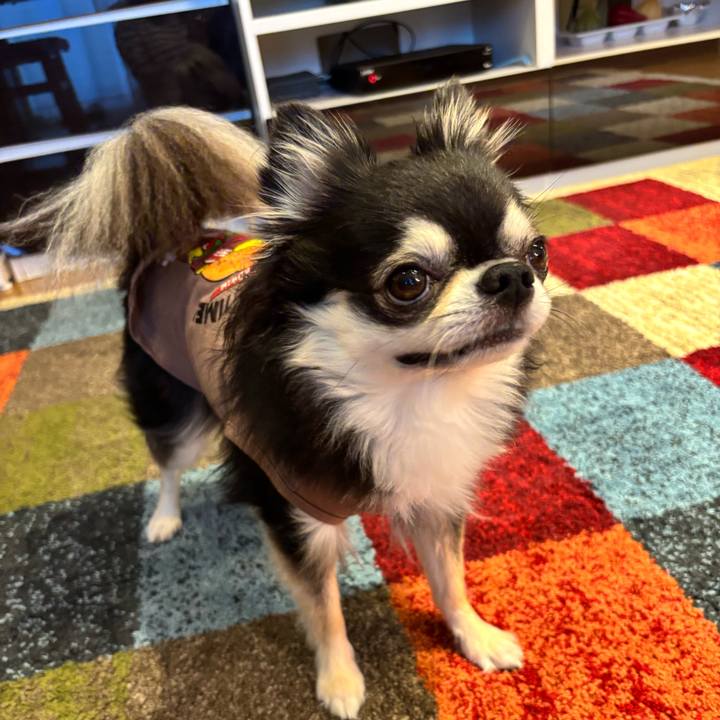 81f44180 187d 4908 a7f1 c2fd9f473531 1761410112896