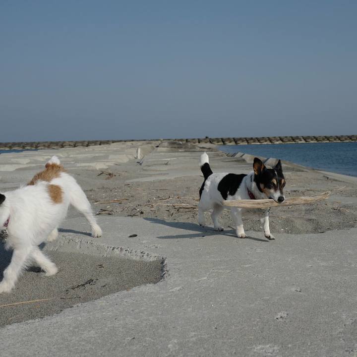 81f4440b a4b5 457a 8373 ba90f64273bc 1522036807309