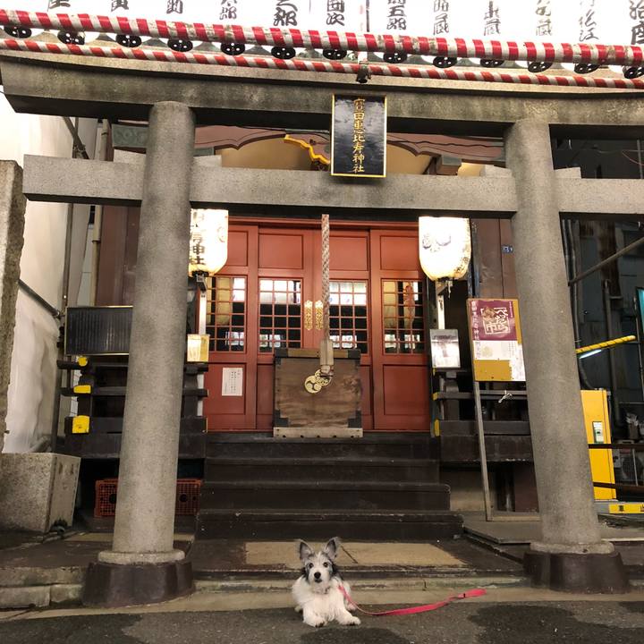 81f44b5a e1fc 4a8d 846a 5721ac99c92f 1539611731039