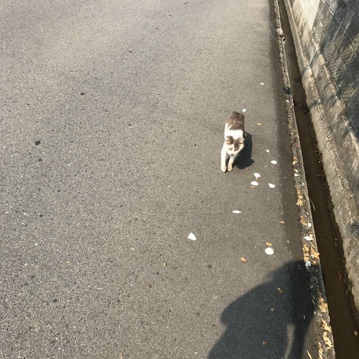 81f48288 9ddf 42ce b427 fcba9d927462 1549461375775