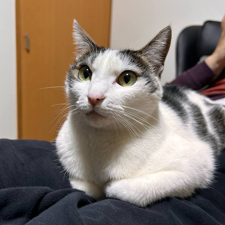 81f4a37a 6d75 4114 9fd5 e1d335a32b33 1739363317829