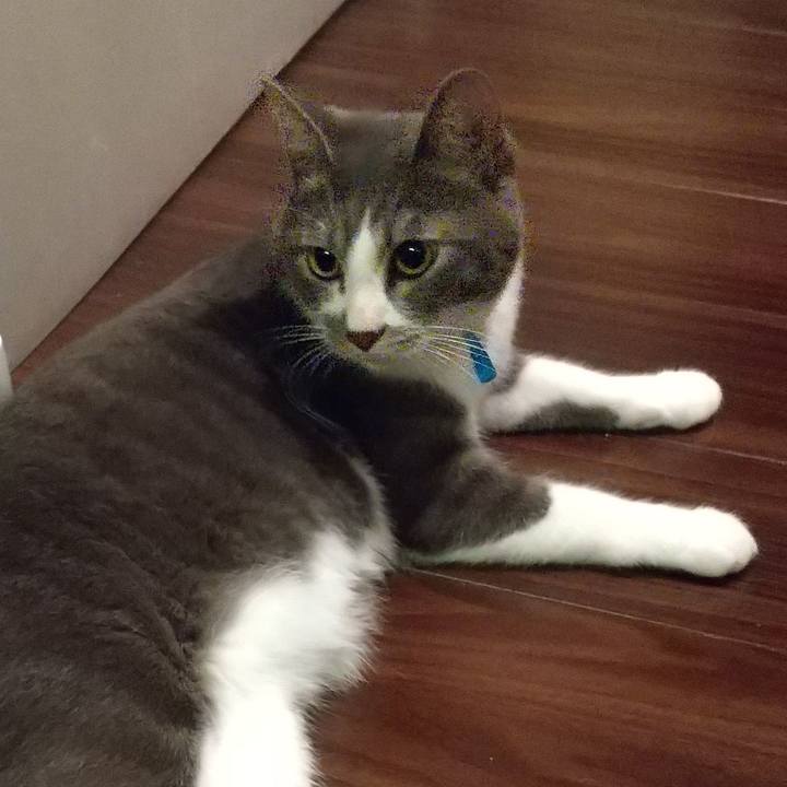 81f52d9f 5a19 4cd3 9e7f 5e26e9eea442 1597668971176