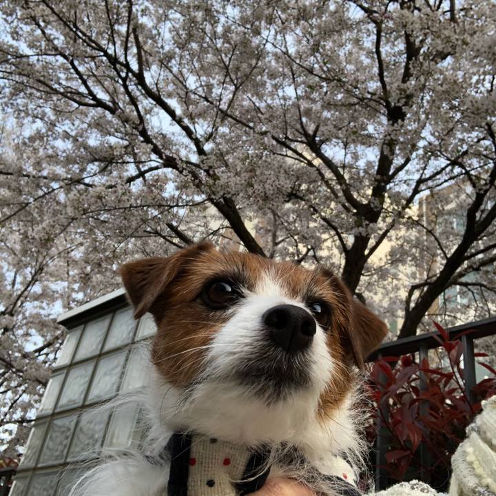 81f5389c 695a 497e b4b5 6256a3b37395 1617529773647