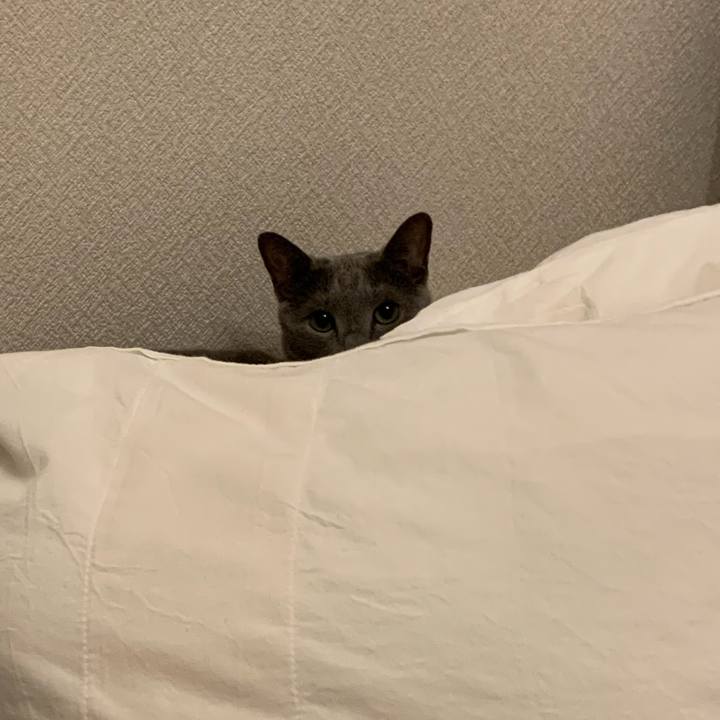 81f55385 38fd 4b80 ad4a cf233d512c11 1662250790387