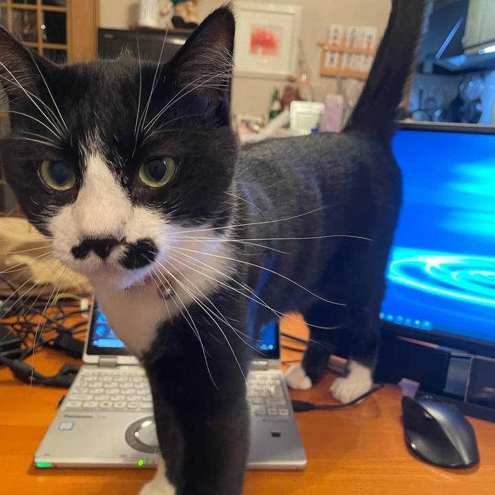 81f56eef 7cec 4178 a6f5 ee908123aa9a 1654690123469