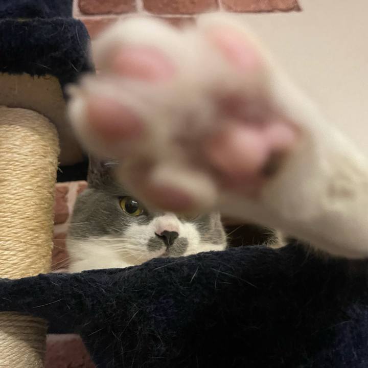 81f57efc 42c1 4cb3 be4b 2ce6e58b8a1e 1638623193463