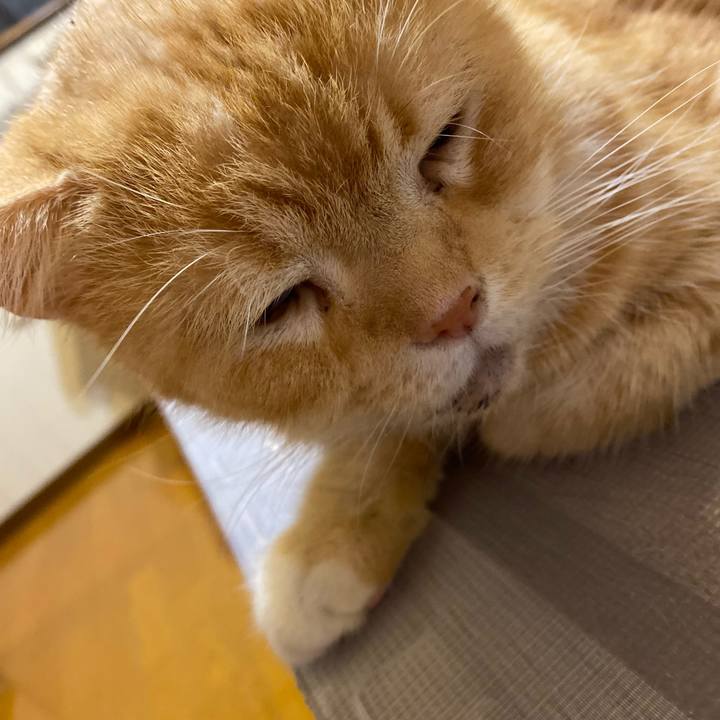 81f5b2d0 f82a 46d3 b333 70c914bf4791 1631793532567