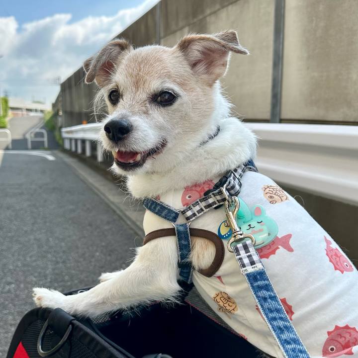 81f5c7d9 0739 40b0 ac22 c0f943cdc168 1758687692767