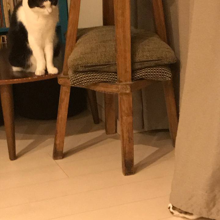 81f6175e 09de 4239 ad8f e7055c859fa2 1631151208743