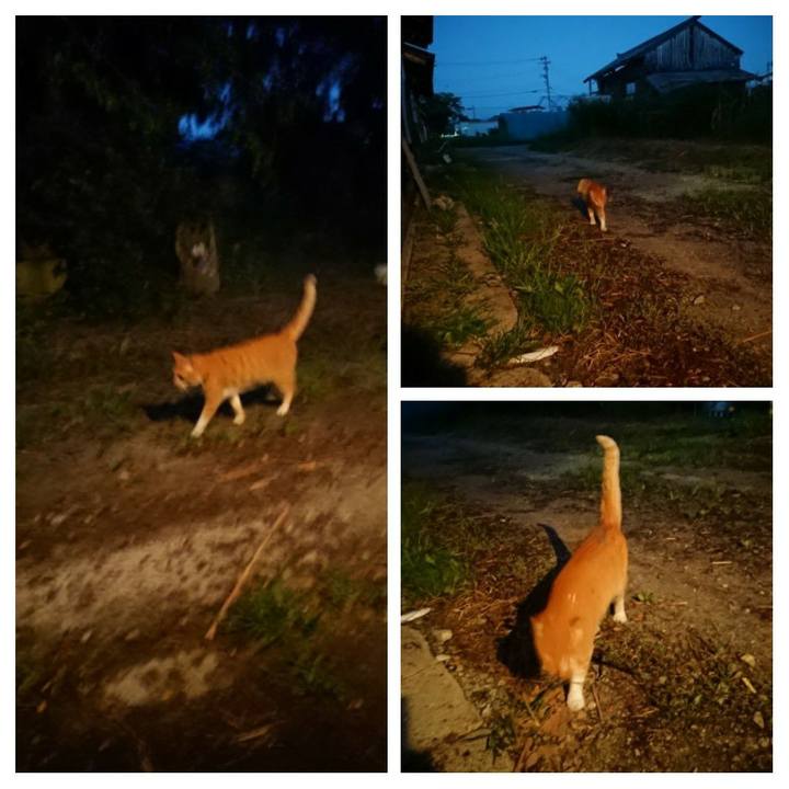 81f63343 ce39 4c1b 8a06 10d05dcdcc4e 1598437477511