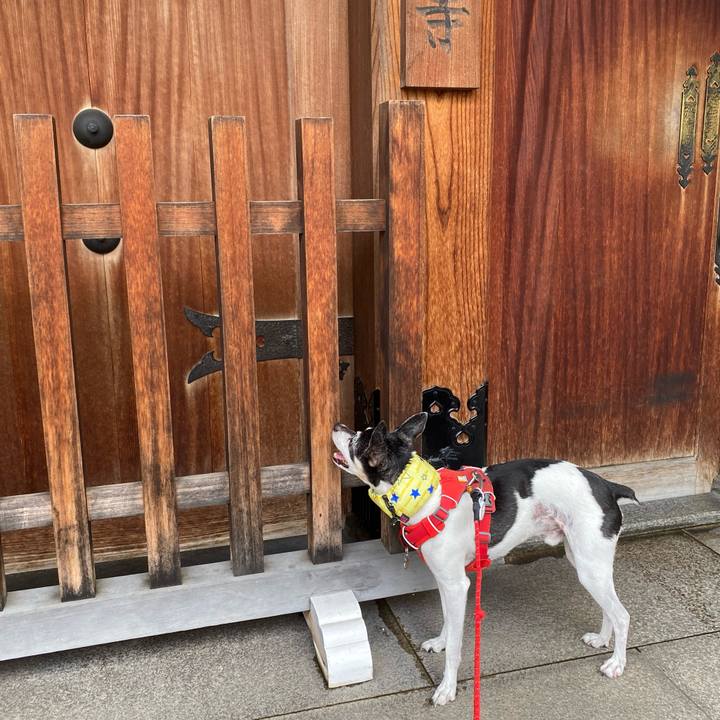 81f665ed af71 4ae3 a556 20ac9373e0e7 1625908623057