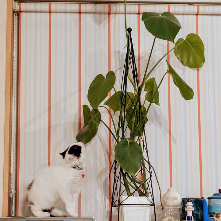 81f667ad 4ef2 43ae 8018 03fbe96ea4b3 1761122896593