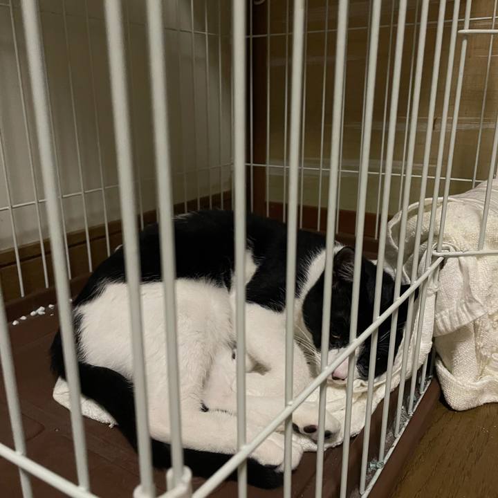 81f669d6 2c4a 418f 93bf 6e2530bbcd49 1687355065088