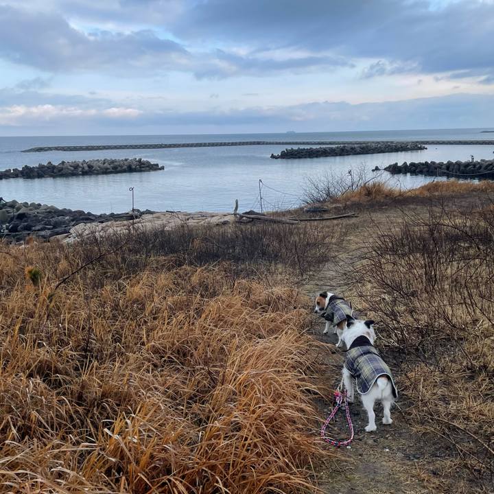 81f6717e a820 4962 9159 8a4039c91ef9 1741475761354