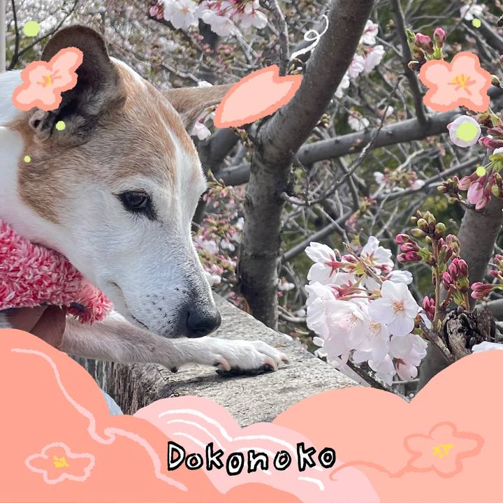 81f67907 1185 4df0 9d3e d4df2cd02334 1775276074452