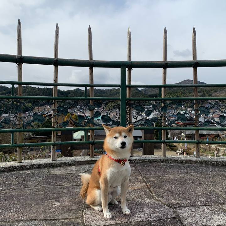 81f6a35e 495b 4bdd 9250 c4af75b338ff 1609402394413