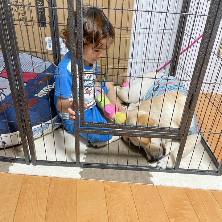 81f6a62d b85c 4405 87d0 d948e0aeefcd 1623935595585