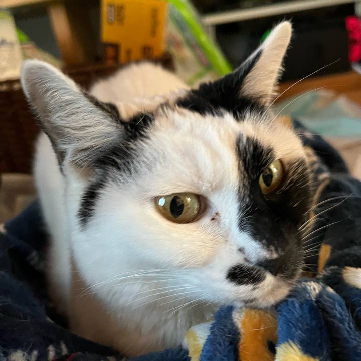 81f6cf10 fdfc 4c95 acd4 3357b0410839 1772634145260