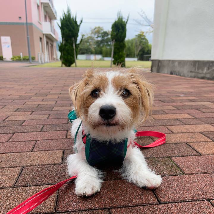 81f6e12e c7f3 4e01 950b e4e1cbdc67c1 1761448364210