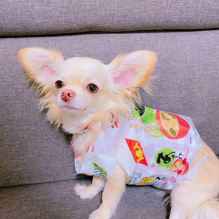 81f6ec18 ec3a 4c1b 9bc5 9f9fe635d629 1621774431410