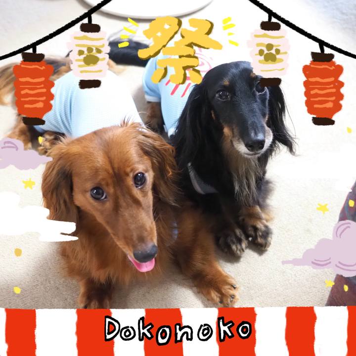 81f7241a ce01 43ee 9074 0163c658484e 1723355257134