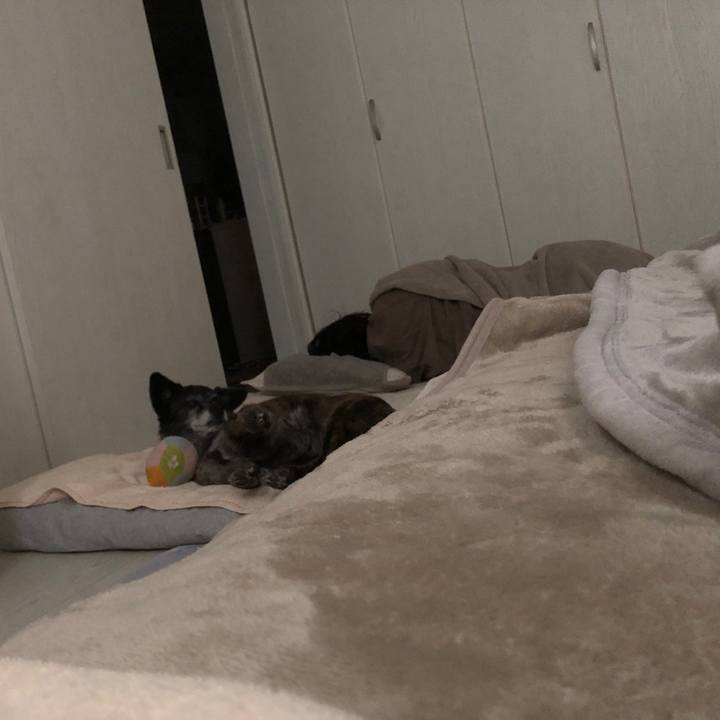 81f72a58 b677 4578 99d9 ddd0d8338316 1683373467089