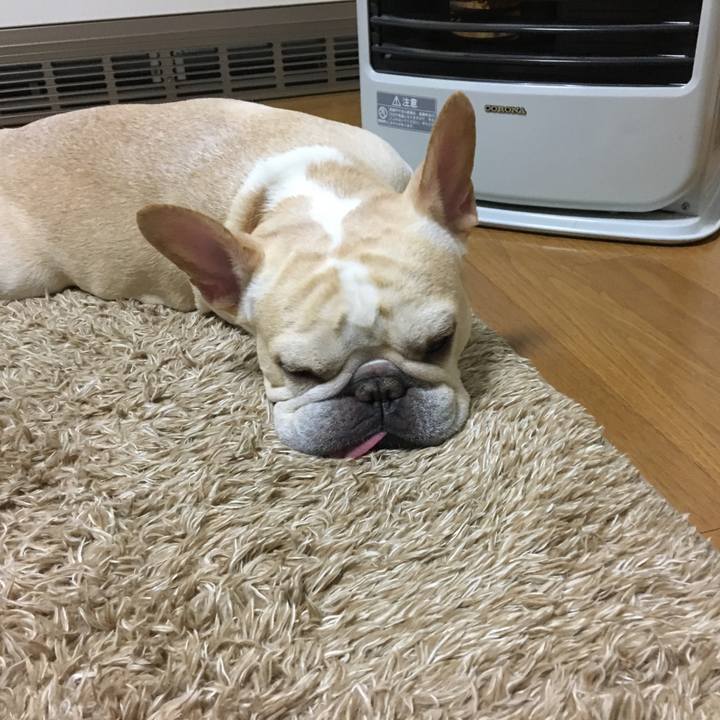 81f73449 c991 4f8c 8f45 1eea5ad03306 1509972519258