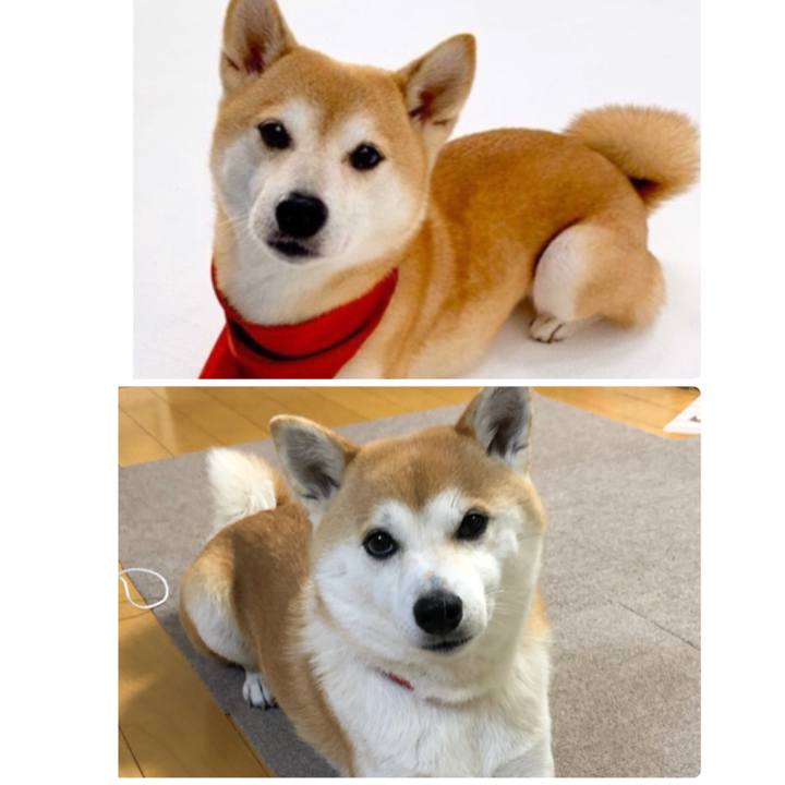 81f73590 c331 44e9 9bff e5ed8475b02e 1581744040884