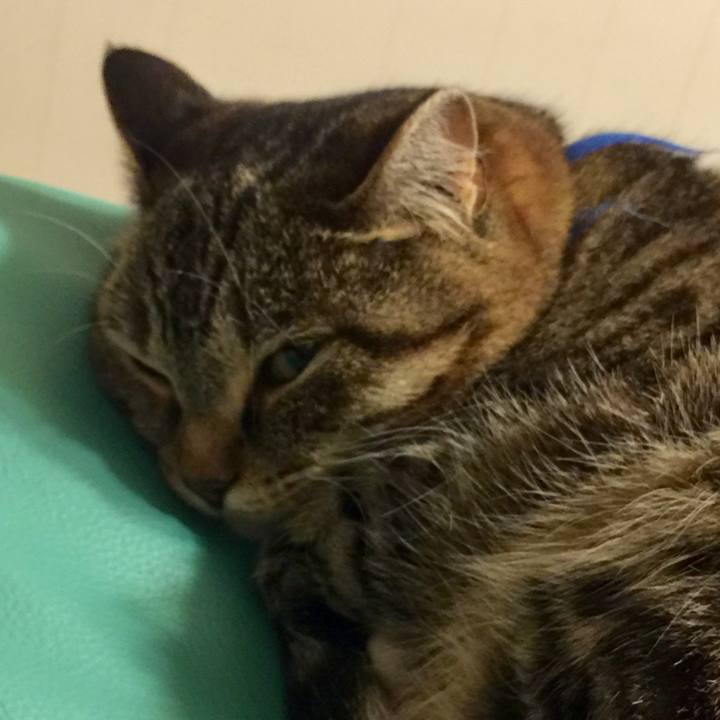 81f76f89 9fce 413f b8d6 7f525e281f61 1560084494924