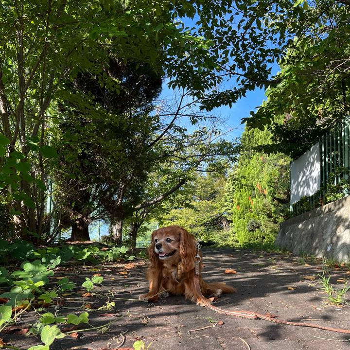 81f778e1 2877 422b 8c78 71e5174f8f39 1758242058744