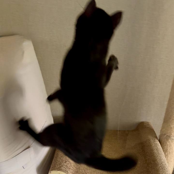 81f780fb f668 4c3a 8120 d30915e7e671 1758149689370