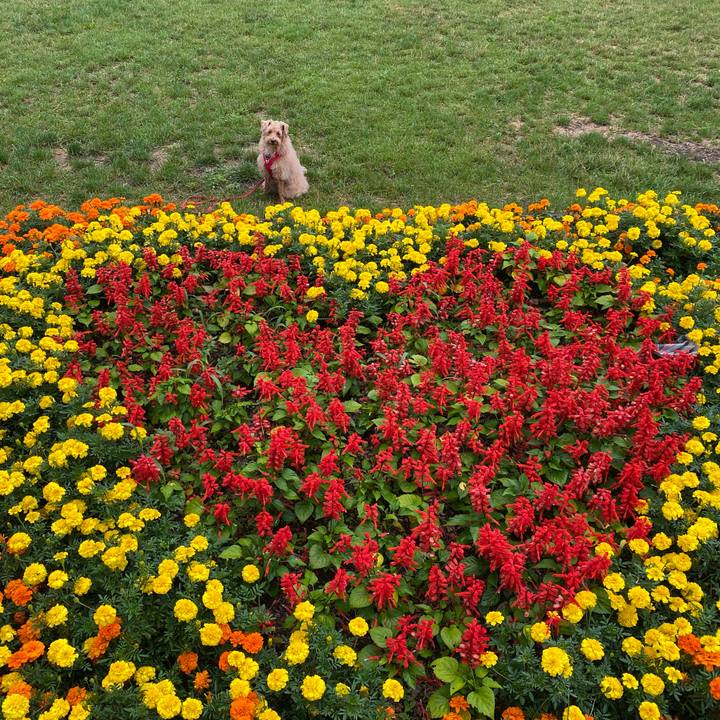 81f79924 62d2 4d75 99a5 5fa34b1f8231 1659992054096