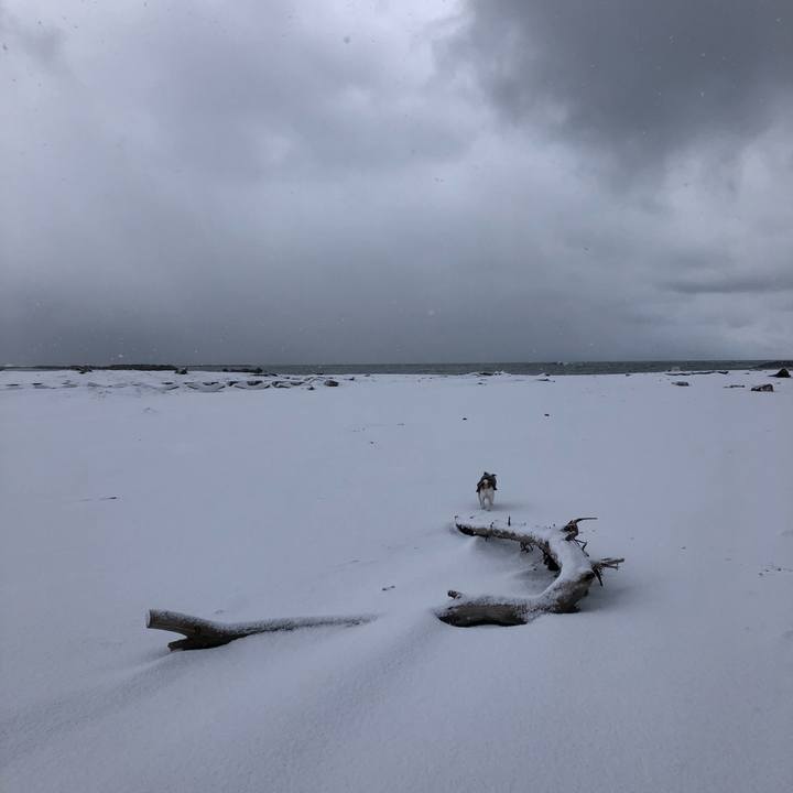 81f79a8e 9434 4a69 9a7f 9dc5976b4432 1609633437797