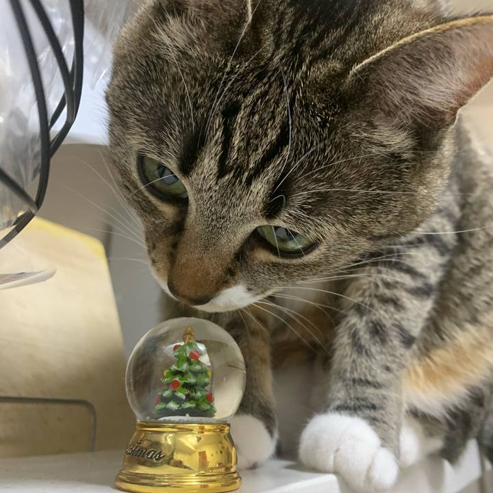 81f7a011 0a7d 423b 8031 9ec163e386bb 1608818197238