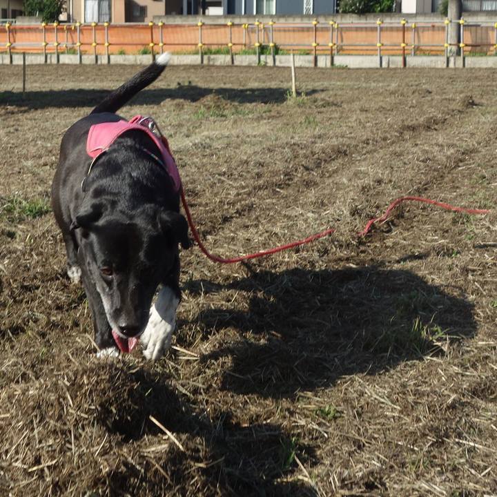 81f7cf85 6c3c 41ea a516 63ef18bc58d0 1697590079284