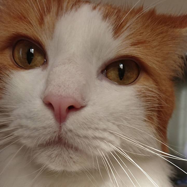 81f7e992 a95a 4b30 bfa4 951c2be77391 1540088840986