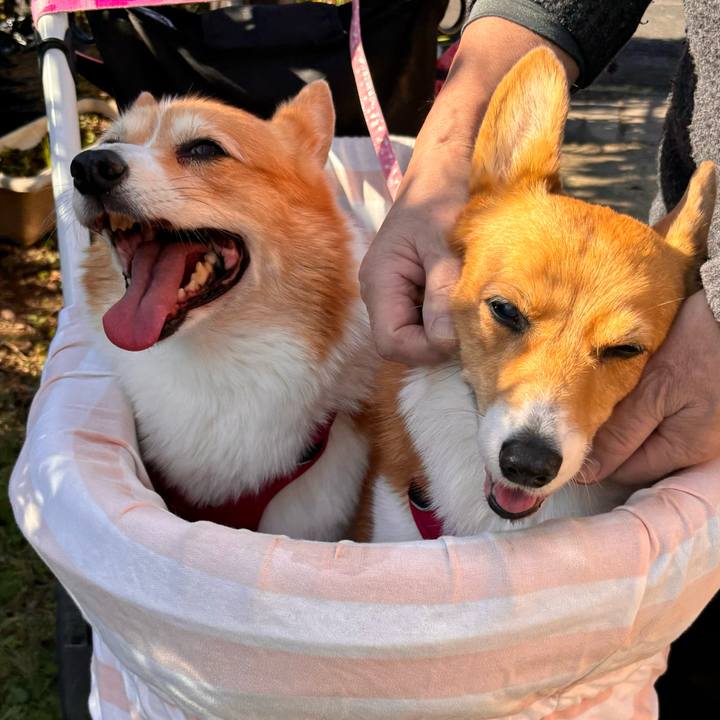 81f7eea8 45bb 409f 9874 b878803f0900 1732245626599