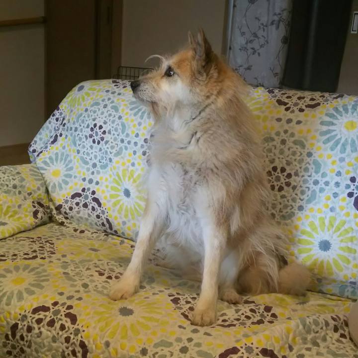 81f7f8f0 a79f 44dc aa37 447fabcc1c57 1523228793041