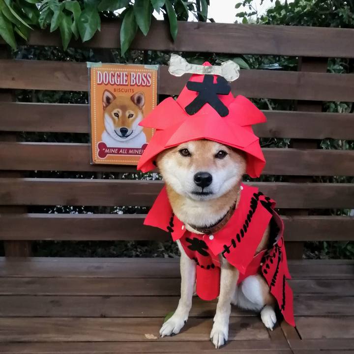 81f82414 e26d 4d87 ae0b 2346bd37b991 1604562163911