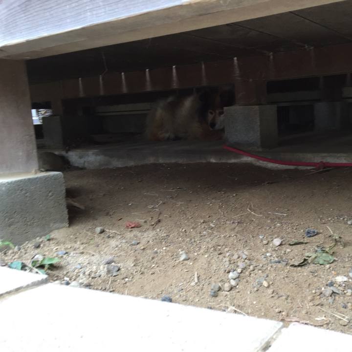 81f8362c e624 4675 87d8 cf7a2cc00981 1599897358447